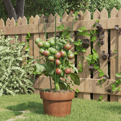 Vidaxl Plantrests 5 ST mit 3 Ringen 45 cm Stahlgrün