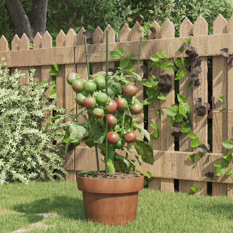 Vidaxl Plantrests 5 ST mit 3 Ringen 45 cm Stahlgrün