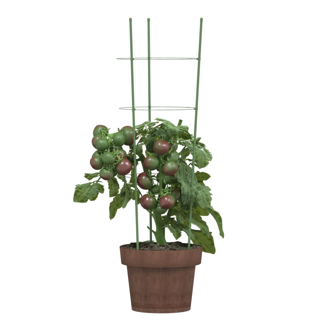 Vidaxl Plantrests 5 ST mit 3 Ringen 60 cm Stahlgrün