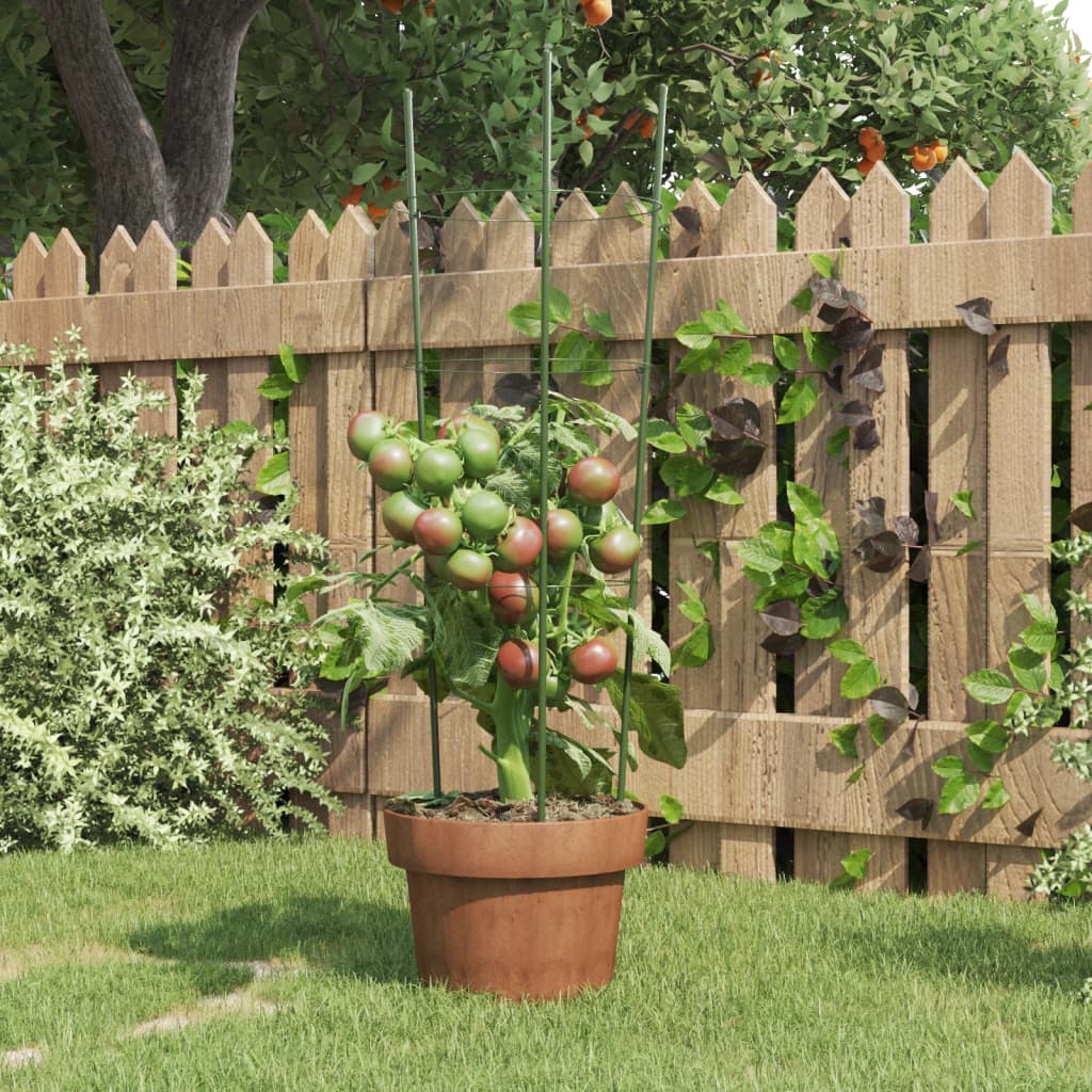 Vidaxl Plantrests 5 ST mit 3 Ringen 60 cm Stahlgrün