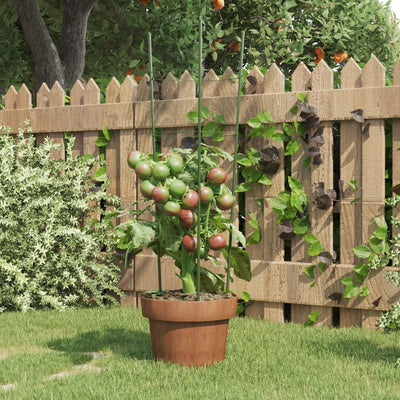 Vidaxl Plantrests 5 ST mit 3 Ringen 60 cm Stahlgrün