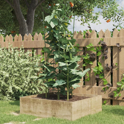 Vidaxl Plantrests 5 ST mit 3 Ringen 75 cm Stahlgrün