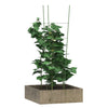 Vidaxl Plantrests 5 ST mit 4 Ringen 90 cm Stahlgrün
