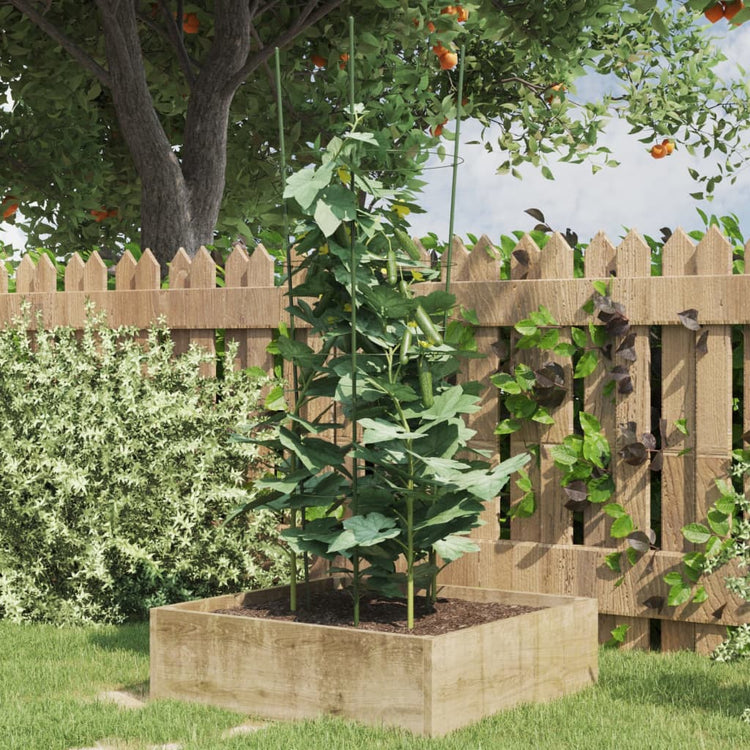 Vidaxl Plantrests 5 ST mit 4 Ringen 90 cm Stahlgrün