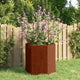 VIDAXL -Planungsbox Rosty 40x40x45 cm Corten Stahl