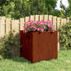 Vidaxl -Pflanzer mit Beinen rostig 49x47x50 cm Cortenstaal