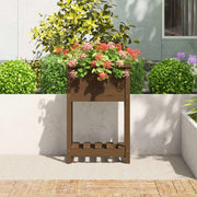 VIDAXL -Pflanzer mit Regal 54x34,5 x 81 cm Kiefern Honigbraun - afbeelding 3
