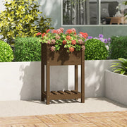VIDAXL -Pflanzer mit Regal 54x34,5 x 81 cm Kiefern Honigbraun - afbeelding 1