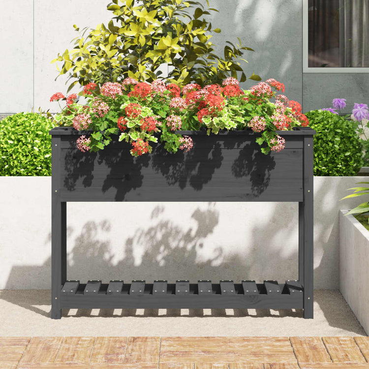 VIDAXL -Pflanzer mit Regal 111,5 x 34,5 x 81 cm Festkieferngrau grau grau