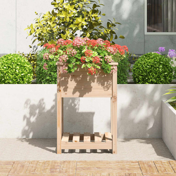 VIDAXL -Pflanzer mit Regal 54x54x81 cm Festkiefer