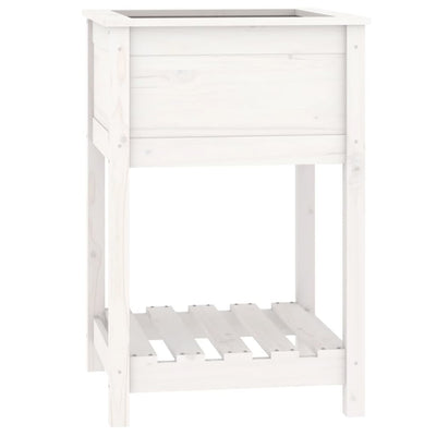 VIDAXL -Pflanzer mit Regal 54x54x81 cm Festkiefer weiß