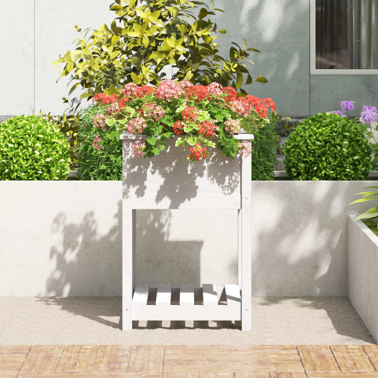VIDAXL -Pflanzer mit Regal 54x54x81 cm Festkiefer weiß