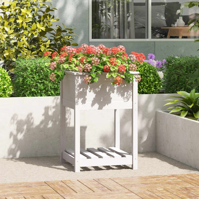 VIDAXL -Pflanzer mit Regal 54x54x81 cm Festkiefer weiß