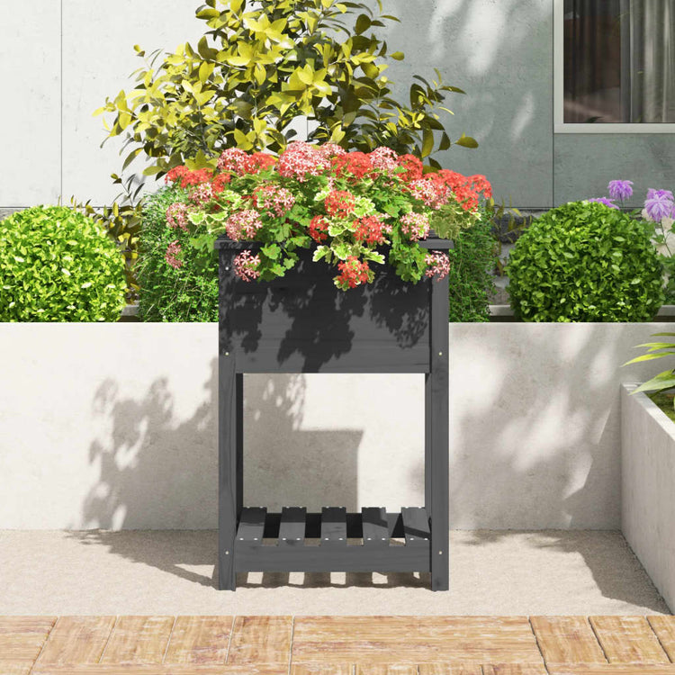 VIDAXL -Pflanzer mit Regal 54x54x81 cm Festkiefergrau
