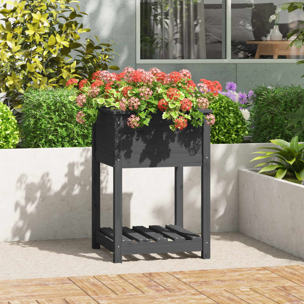 VIDAXL -Pflanzer mit Regal 54x54x81 cm Festkiefergrau
