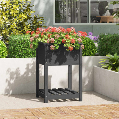VIDAXL -Pflanzer mit Regal 54x54x81 cm Festkiefergrau