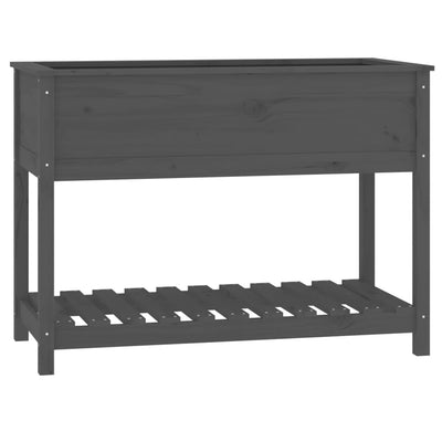 VIDAXL -Pflanzer mit Regal 111,5 x 54x81 cm Festkieferngrau grau grau