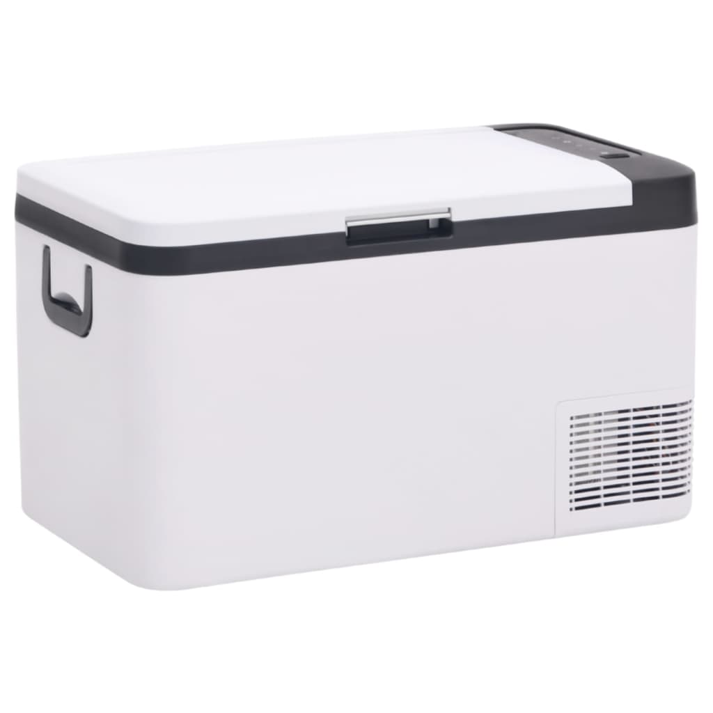 Vidaxl Cool Box mit Griff 25 l pp pp schwarz und weiß