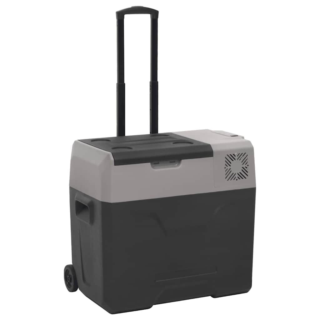 Vidaxl Cool Box mit Rädern und 40 l Polypropen schwarz und grau