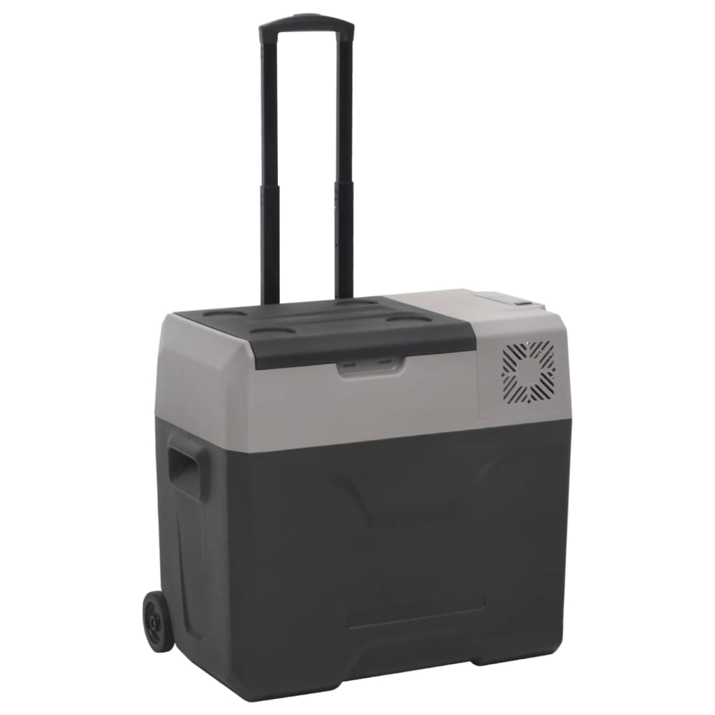 Vidaxl Cool Box mit Rädern und Griff 50 l Polypropenschwarz und Grau