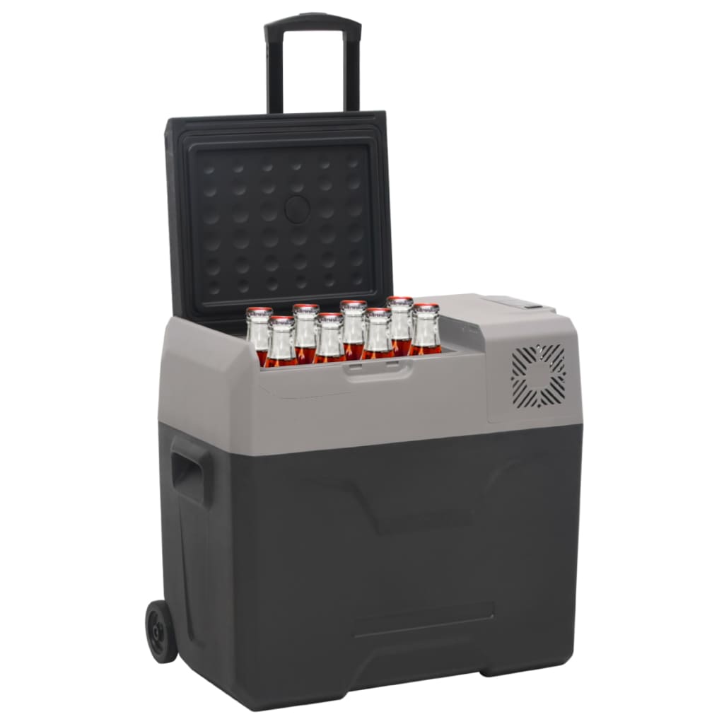 Vidaxl Cool Box mit Rädern und Griff 50 l Polypropenschwarz und Grau