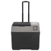 Vidaxl Cool Box mit Rädern und Griff 50 l Polypropenschwarz und Grau