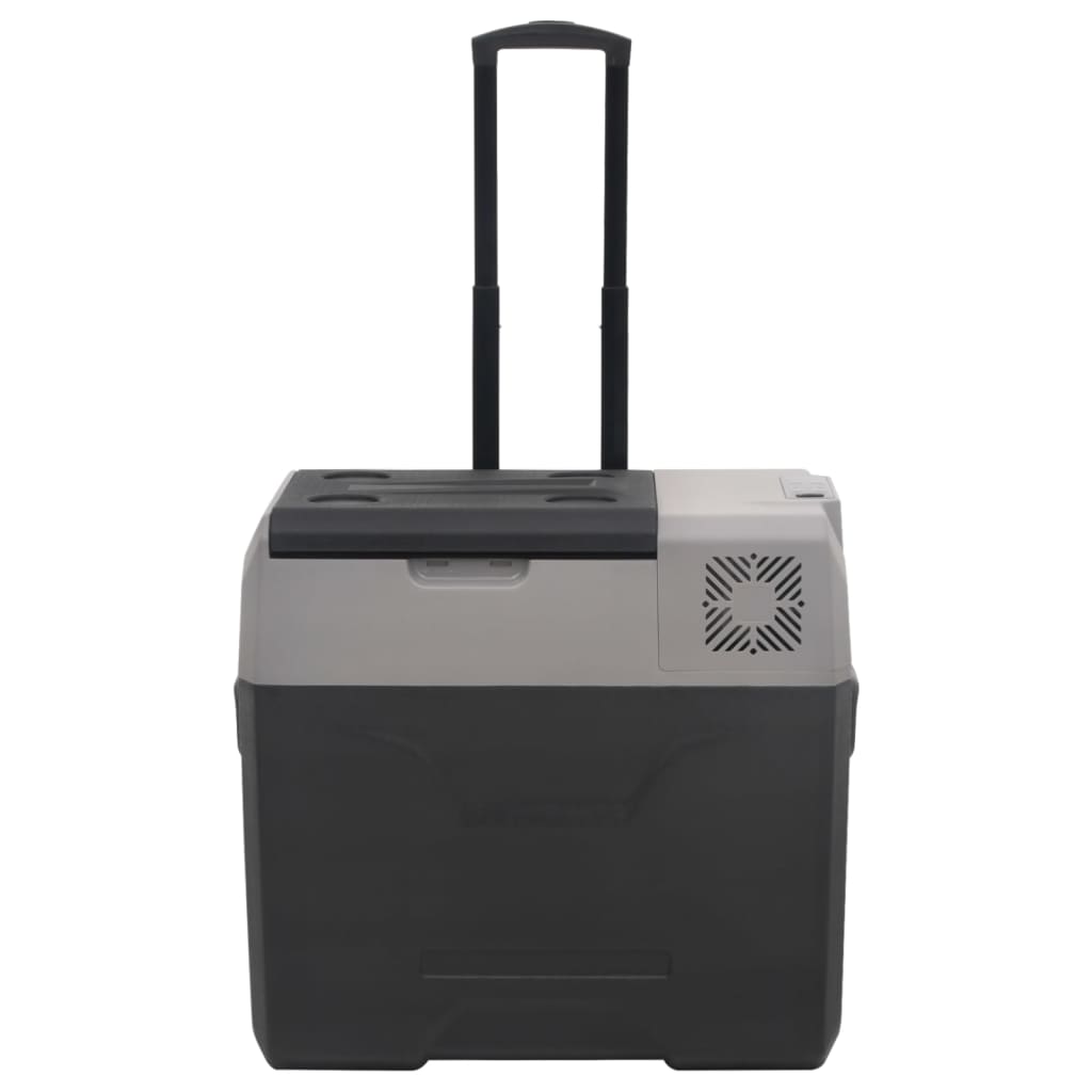 Vidaxl Cool Box mit Rädern und Griff 50 l Polypropenschwarz und Grau