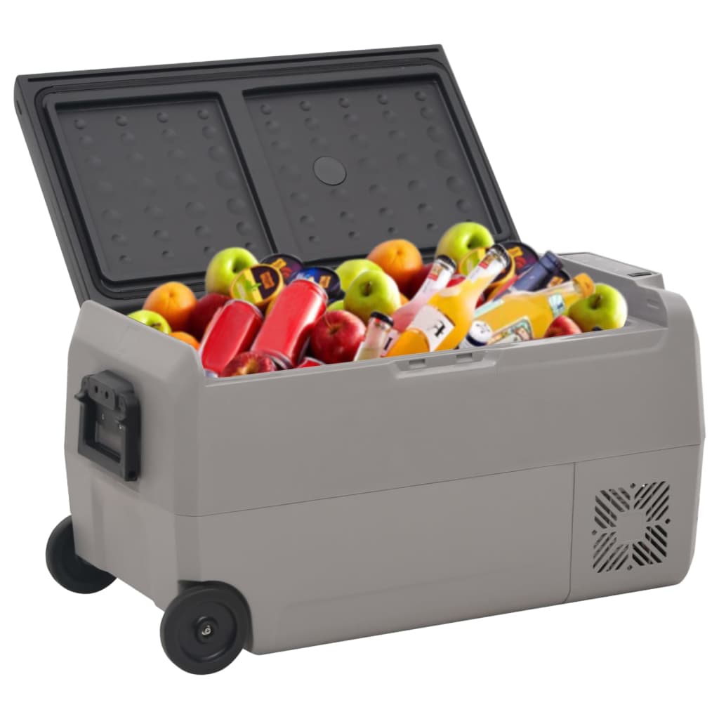 Vidaxl Cool Box mit Rädern und 60 l Polypropen schwarz und grau