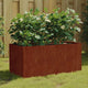 VIDAXL -Planungsbox 80x40x40 cm Corten Stahl