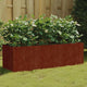 VIDAXL -Pflanzer erhöht 120 x 40 x 40 cm Corten Stahl