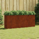 VIDAXL -Pflanzer erhöhte 200x40x80 cm Corten -Stahl