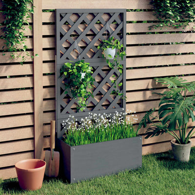 VIDAXL -Pflanzer mit Latwerk 65x33x135 cm HKC