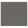 Vidaxl schwache Decke 200x220 cm 9 kg Stoff grau