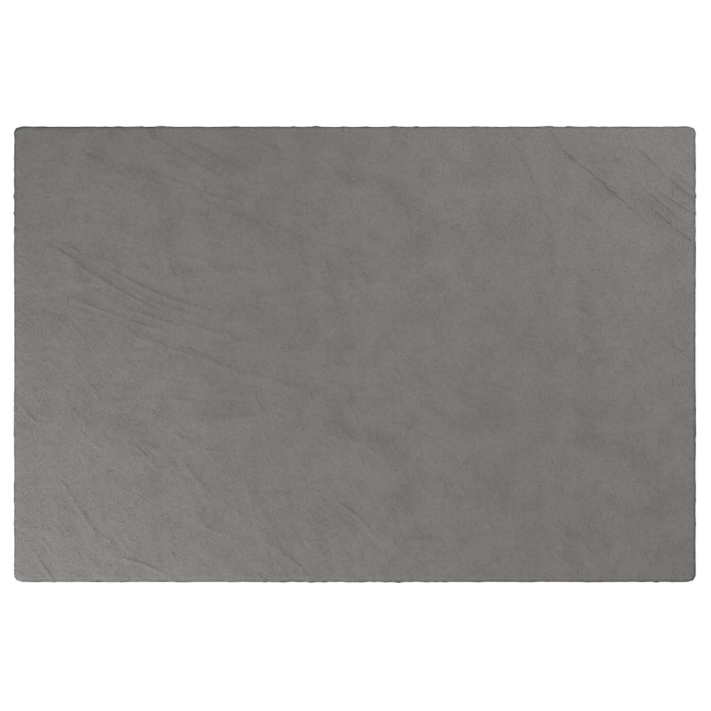 Vidaxl schwachende Decke mit Abdeckung 122x183 cm 5 kg Stoff grau