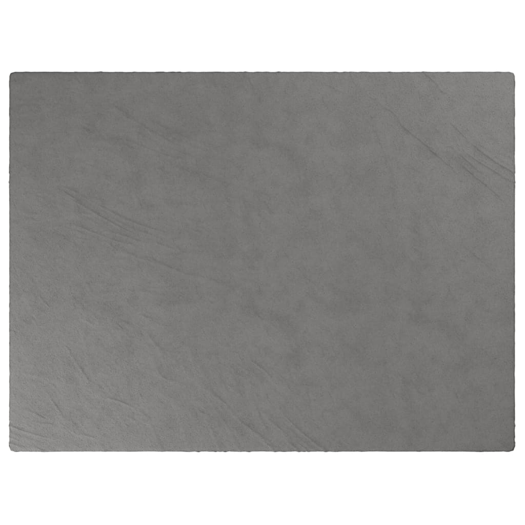 Vidaxl schwachende Decke mit Abdeckung 152x203 cm 11 kg Stoff grau