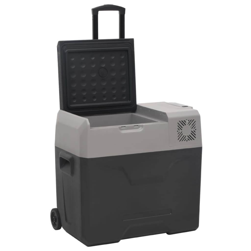 Vidaxl Cool Box mit Rädern und Adapter 30 l Polypropen schwarz und grau