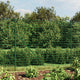 Vidaxl Drahtgitter FET mit Bodenanker 1,6x10 m Grün