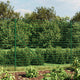 Vidaxl Drahtgitter FET mit Flansch 2,2 x 10 m grün