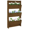 Vidaxl Pflanzer Wand 3-Schicht 60x18.5x110 cm Kiefernholz Honigbraun