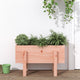 VIDAXL -Planungsbox 62x30x38 cm Solid Douglashout