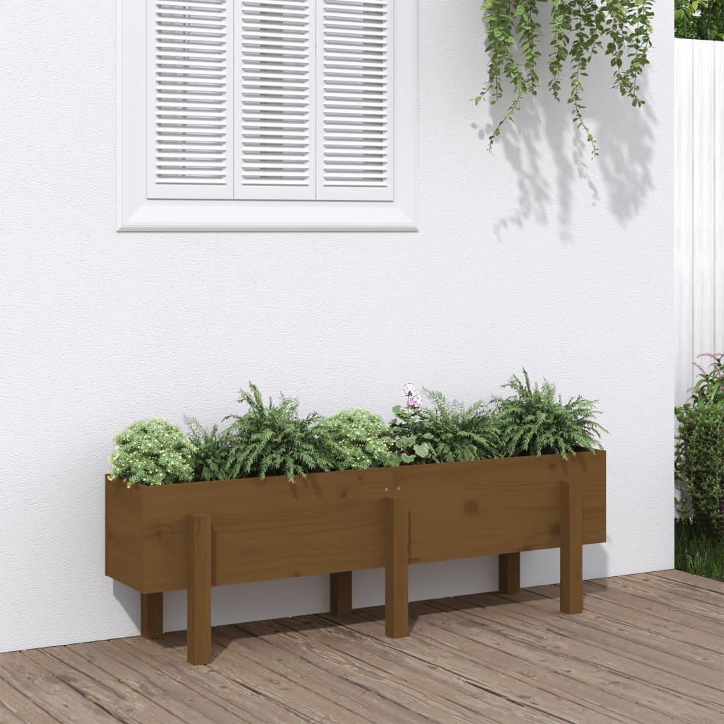 VIDAXL -Pflanzer erhoben 121 x 30 x 38 cm Festkiefer Honigbraun
