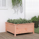 VIDAXL -Planungsbox 82.5x82.5x39 cm Solid Douglashout