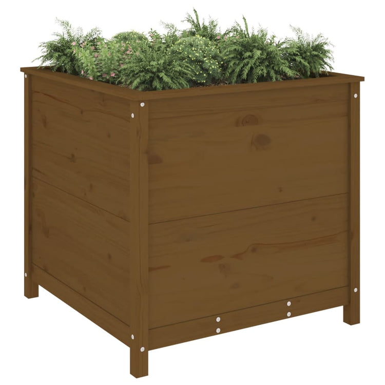 VIDAXL -Planungsbox 82.5x82.5x78 cm Festkiefer Honigbraun