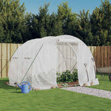 Vidaxl Tuinkas mit Stahlrahmen 6 m² 3x2x2 m - afbeelding 1