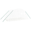Vidaxl Tuinkas mit Stahlrahmen 8 m² 4x2x2 m
