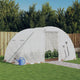 Vidaxl Tuinkas mit Stahlrahmen 8 m² 4x2x2 m
