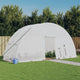Vidaxl Tuinkas mit Stahlrahmen 12 m² 6x2x2,85 m