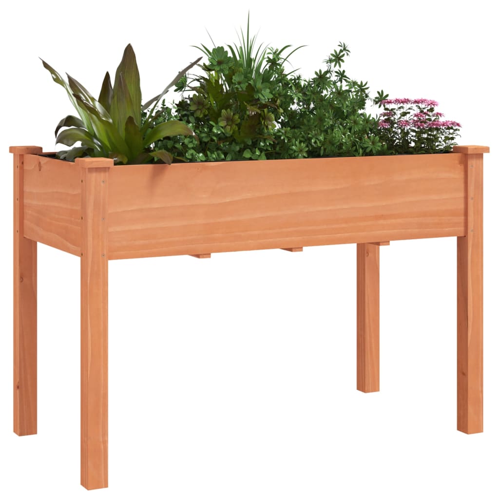 VIDAXL -Pflanzer mit Auskleidung 118x59x76 cm Festkiefernbraun