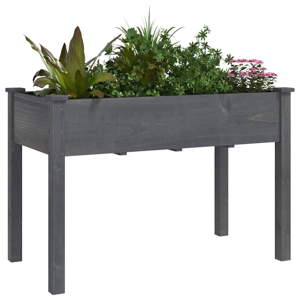 Vidaxx Pflanzgefäß mit Futter 118x59x76 cm massives Kiefernholz grau