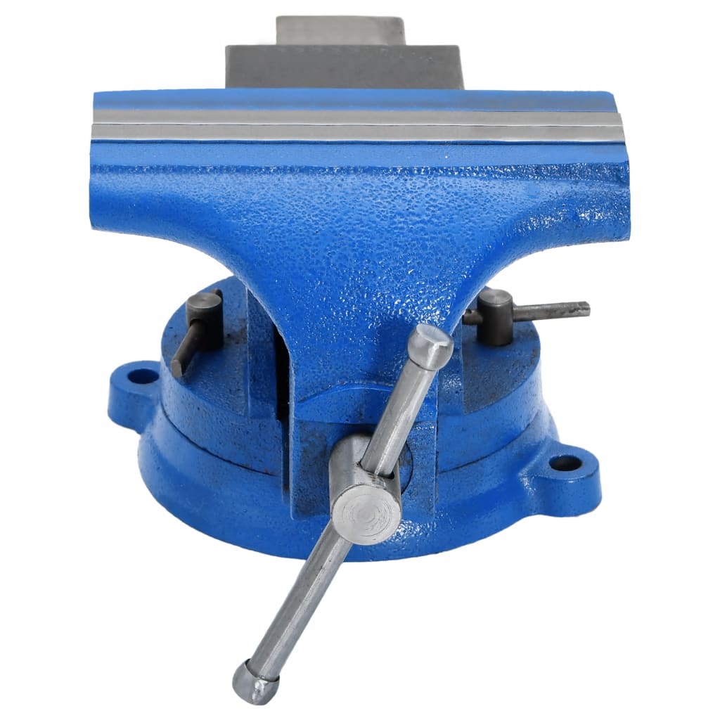 Vidaxl -Gutschein 100 mm Gusseisenblau